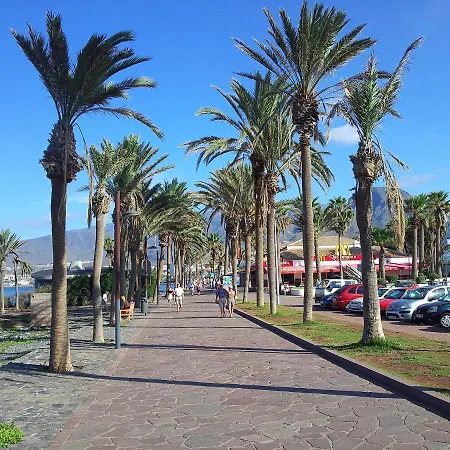 Apartment Casa Teide, Ground Floor Parque Santiago 1, Heated Pool, 100 M To Sea And Beach, Wifi *